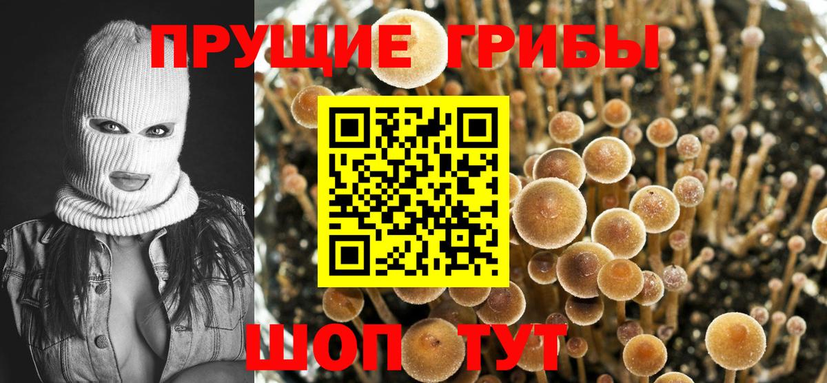 Галлюциногенные грибы ЛСД Тосно