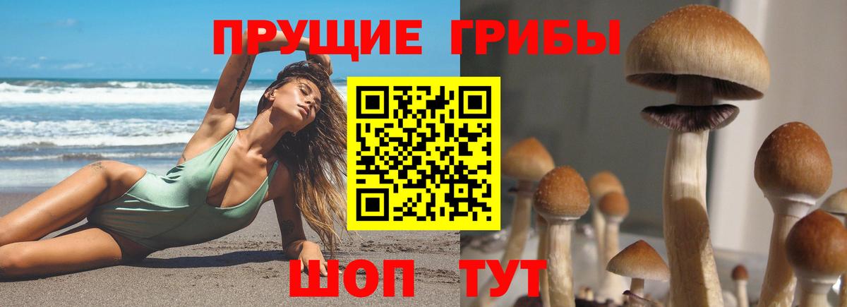 Галлюциногенные грибы MAGIC MUSHROOMS  Вход с VPN  Галлюциногенные грибы мицелий  Тосно 